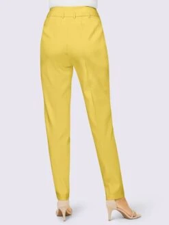 Pantalon Plissé Ceinture Haute -Reine Du Style Soldes Boutique 017.00F0230045 B02.001